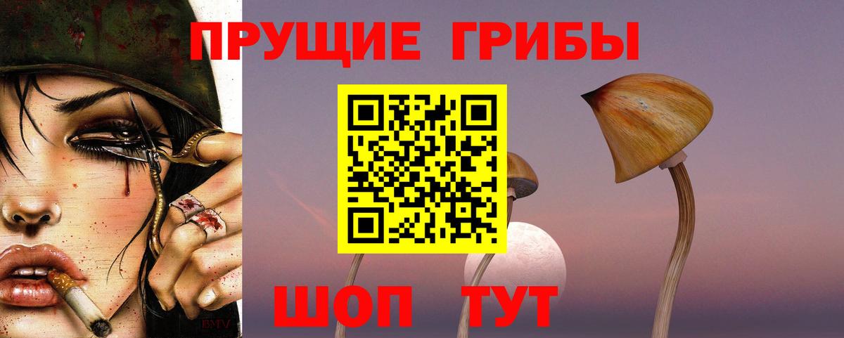 Лениногорск  Псилоцибиновые грибы прущие грибы  Вход с VPN 