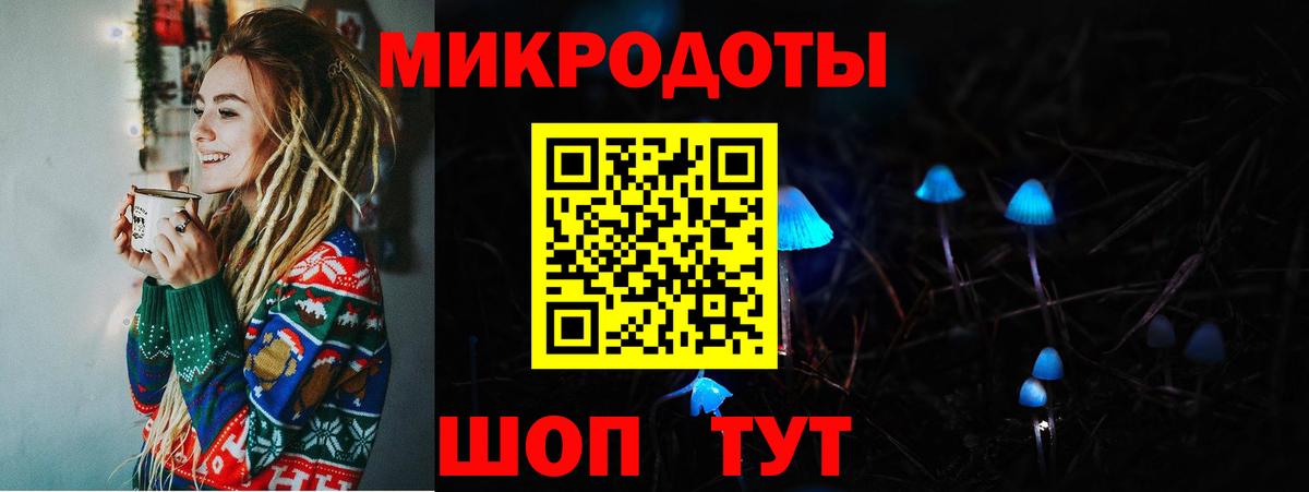 Псилоцибиновые грибы Psilocybe Лениногорск